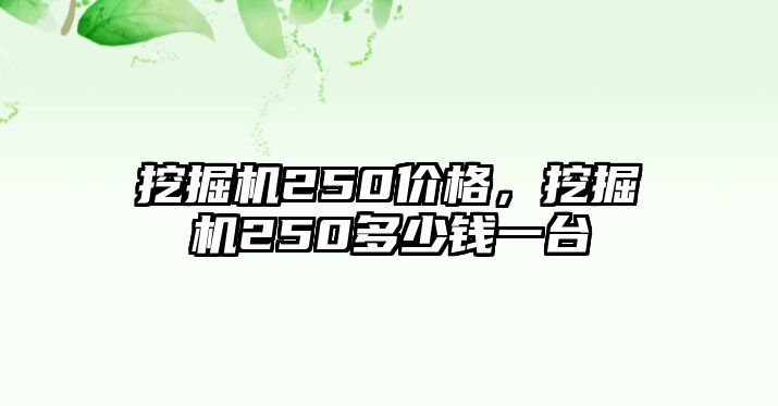 挖掘機(jī)250價(jià)格，挖掘機(jī)250多少錢(qián)一臺(tái)