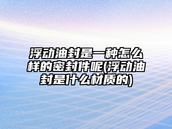 浮動油封是一種怎么樣的密封件呢(浮動油封是什么材質(zhì)的)