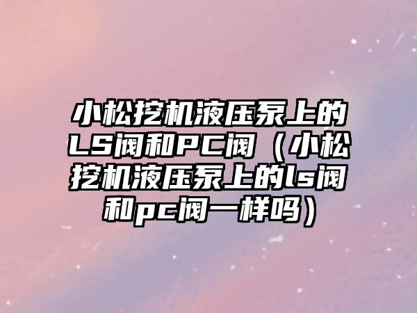 小松挖機液壓泵上的LS閥和PC閥（小松挖機液壓泵上的ls閥和pc閥一樣嗎）