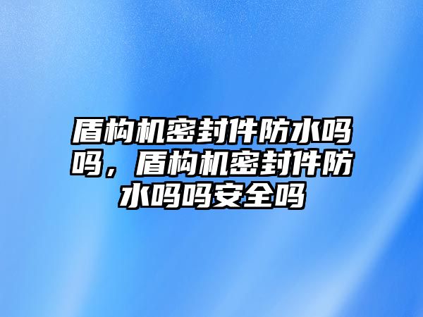 盾構(gòu)機密封件防水嗎嗎，盾構(gòu)機密封件防水嗎嗎安全嗎