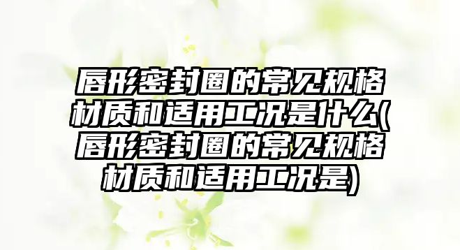 唇形密封圈的常見規(guī)格材質(zhì)和適用工況是什么(唇形密封圈的常見規(guī)格材質(zhì)和適用工況是)