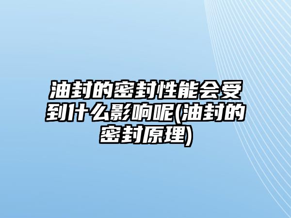 油封的密封性能會受到什么影響呢(油封的密封原理)