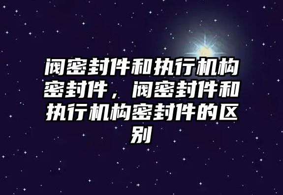 閥密封件和執(zhí)行機(jī)構(gòu)密封件，閥密封件和執(zhí)行機(jī)構(gòu)密封件的區(qū)別