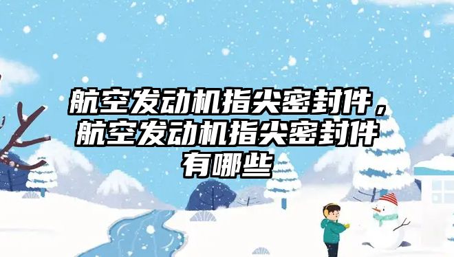 航空發(fā)動機指尖密封件，航空發(fā)動機指尖密封件有哪些