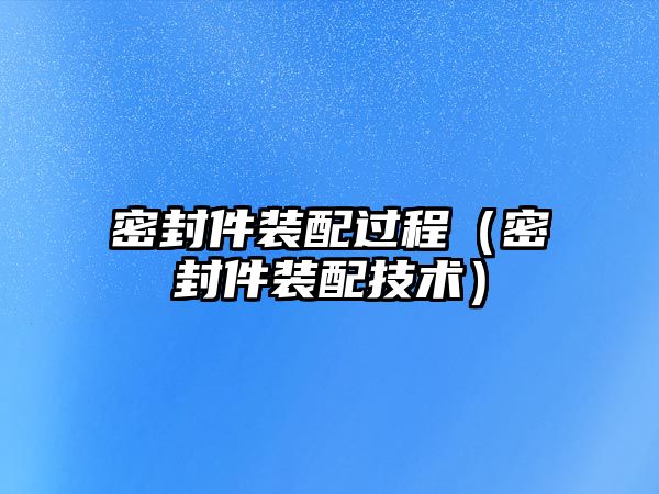 密封件裝配過(guò)程（密封件裝配技術(shù)）