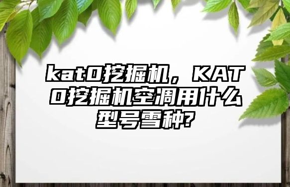 kat0挖掘機(jī)，KAT0挖掘機(jī)空凋用什么型號(hào)雪種?