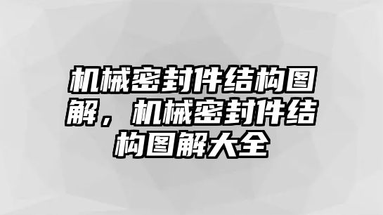 機(jī)械密封件結(jié)構(gòu)圖解，機(jī)械密封件結(jié)構(gòu)圖解大全