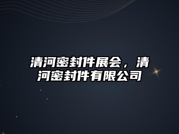 清河密封件展會，清河密封件有限公司