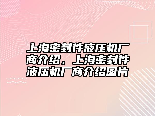 上海密封件液壓機(jī)廠商介紹，上海密封件液壓機(jī)廠商介紹圖片