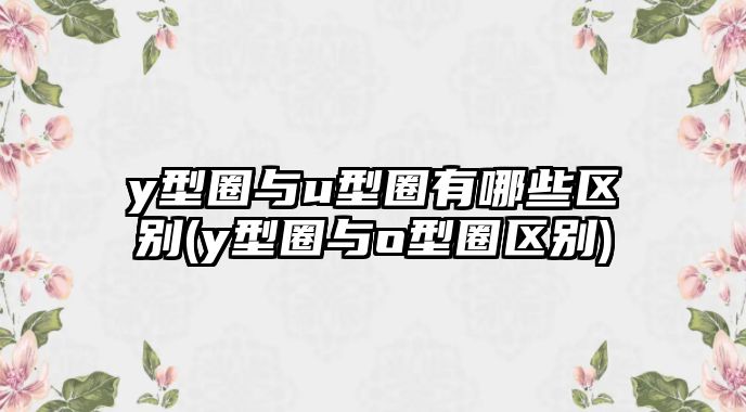 y型圈與u型圈有哪些區(qū)別(y型圈與o型圈區(qū)別)