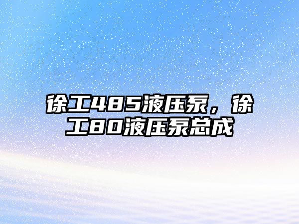 徐工485液壓泵，徐工80液壓泵總成