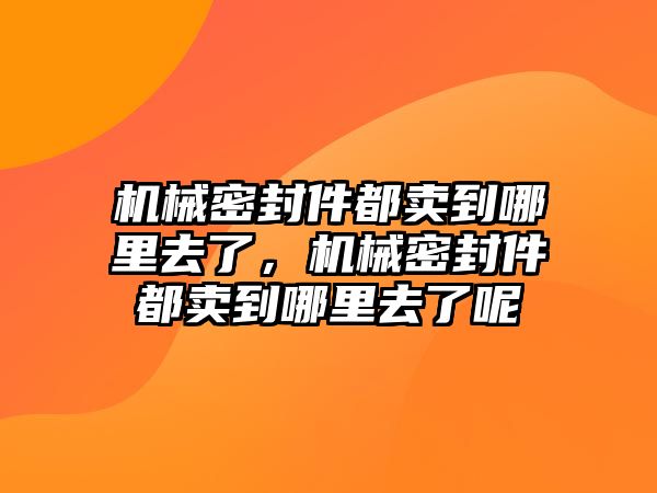 機械密封件都賣到哪里去了，機械密封件都賣到哪里去了呢