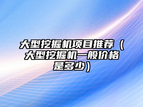 大型挖掘機項目推薦（大型挖掘機一般價格是多少）