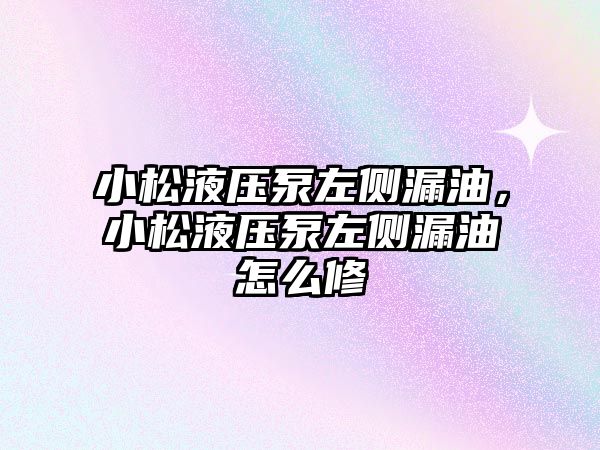 小松液壓泵左側(cè)漏油，小松液壓泵左側(cè)漏油怎么修