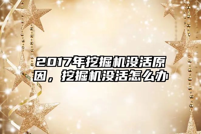 2017年挖掘機沒活原因，挖掘機沒活怎么辦