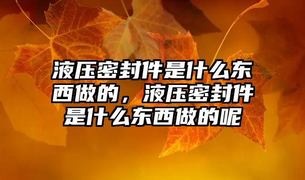 液壓密封件是什么東西做的，液壓密封件是什么東西做的呢