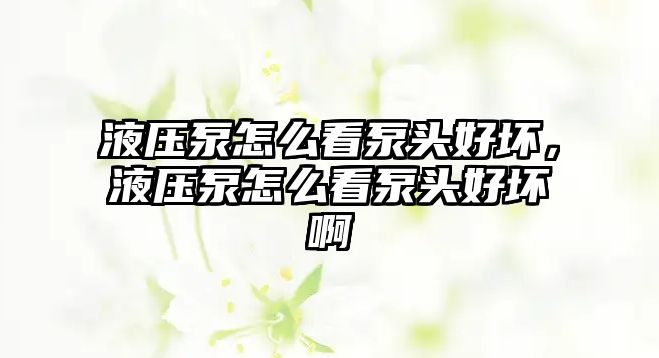 液壓泵怎么看泵頭好壞，液壓泵怎么看泵頭好壞啊