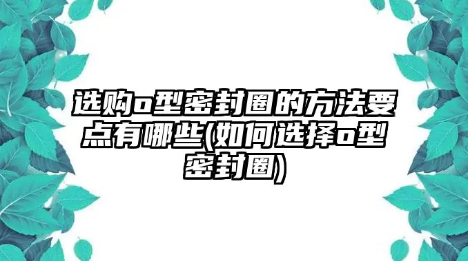 選購o型密封圈的方法要點(diǎn)有哪些(如何選擇o型密封圈)