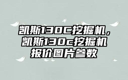 凱斯130C挖掘機(jī)，凱斯130c挖掘機(jī)報(bào)價(jià)圖片參數(shù)