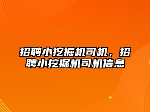 招聘小挖掘機司機，招聘小挖掘機司機信息