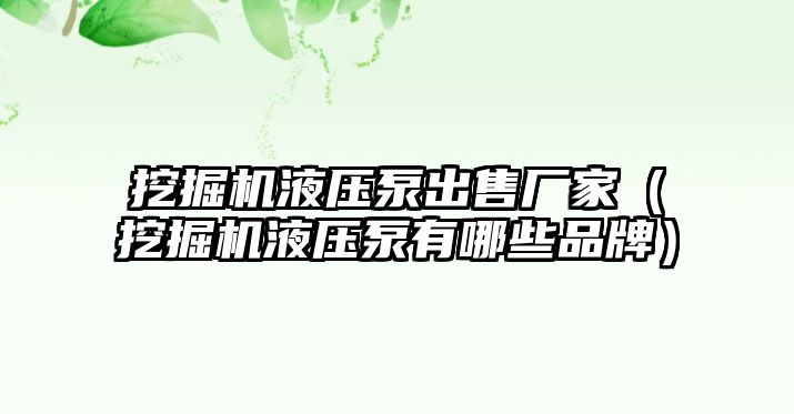 挖掘機液壓泵出售廠家（挖掘機液壓泵有哪些品牌）