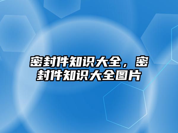 密封件知識大全，密封件知識大全圖片