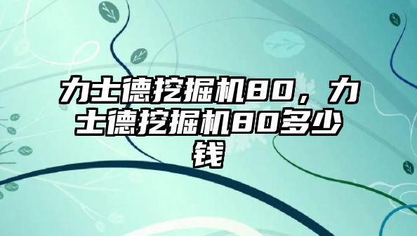 力士德挖掘機(jī)80，力士德挖掘機(jī)80多少錢