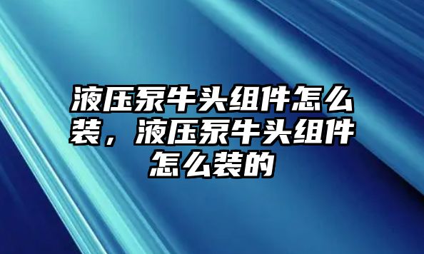 液壓泵牛頭組件怎么裝，液壓泵牛頭組件怎么裝的