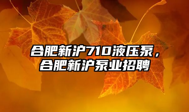 合肥新滬710液壓泵，合肥新滬泵業(yè)招聘