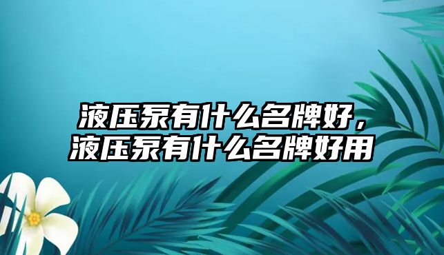 液壓泵有什么名牌好，液壓泵有什么名牌好用