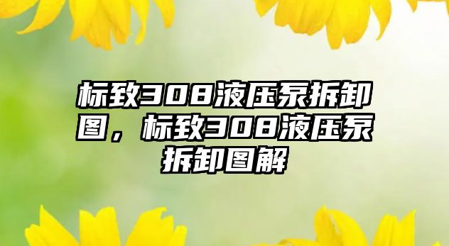 標致308液壓泵拆卸圖，標致308液壓泵拆卸圖解