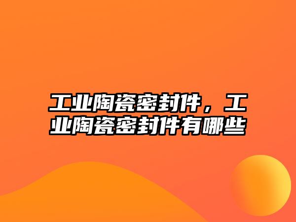 工業(yè)陶瓷密封件，工業(yè)陶瓷密封件有哪些