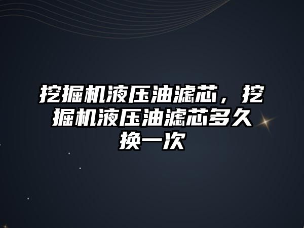 挖掘機液壓油濾芯，挖掘機液壓油濾芯多久換一次