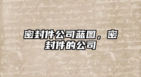 密封件公司藍(lán)圖，密封件的公司