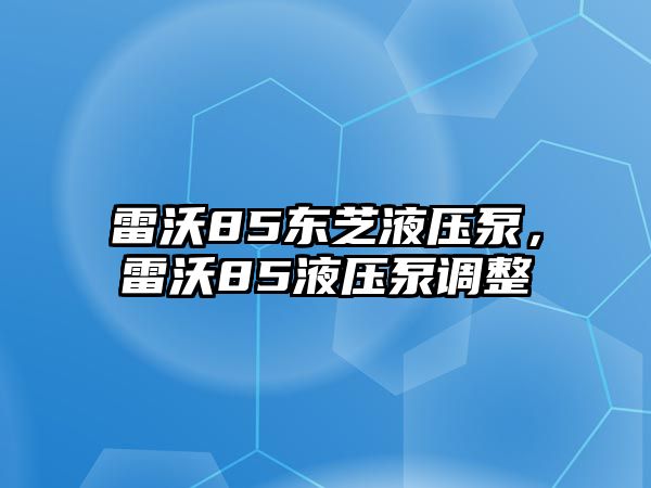 雷沃85東芝液壓泵，雷沃85液壓泵調(diào)整