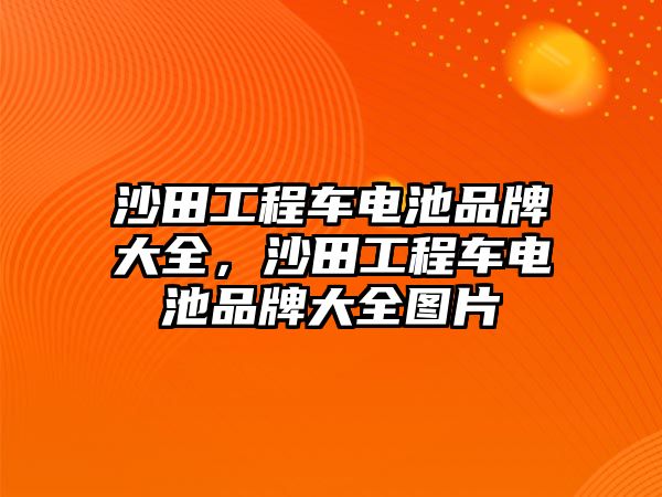 沙田工程車電池品牌大全，沙田工程車電池品牌大全圖片