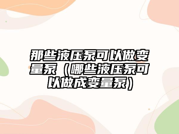 那些液壓泵可以做變量泵（哪些液壓泵可以做成變量泵）