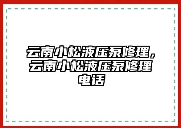 云南小松液壓泵修理，云南小松液壓泵修理電話