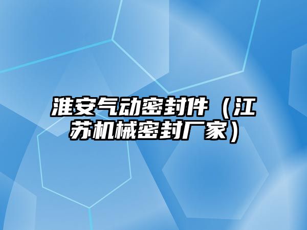 淮安氣動密封件（江蘇機械密封廠家）