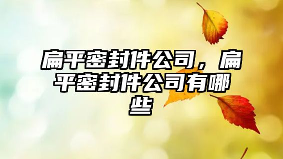 扁平密封件公司，扁平密封件公司有哪些