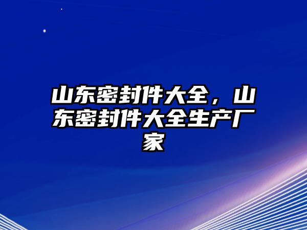 山東密封件大全，山東密封件大全生產(chǎn)廠家