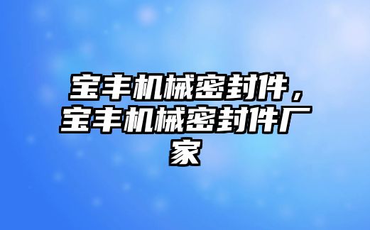 寶豐機(jī)械密封件，寶豐機(jī)械密封件廠家