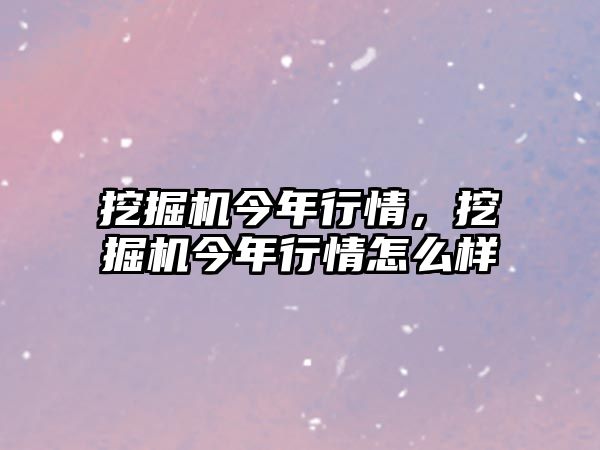 挖掘機(jī)今年行情，挖掘機(jī)今年行情怎么樣