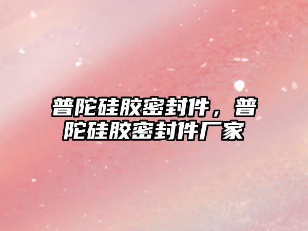 普陀硅膠密封件，普陀硅膠密封件廠家