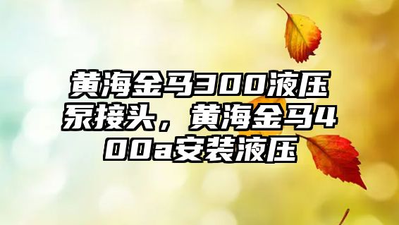 黃海金馬300液壓泵接頭，黃海金馬400a安裝液壓