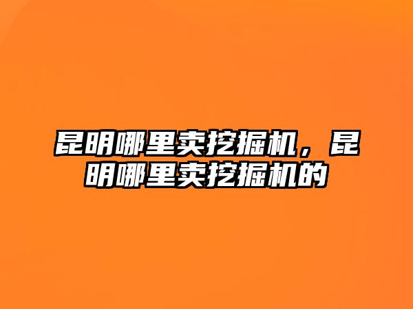 昆明哪里賣挖掘機，昆明哪里賣挖掘機的