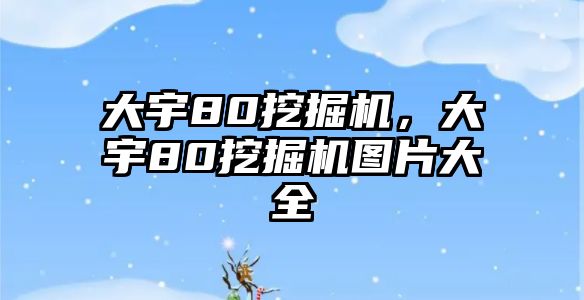 大宇80挖掘機，大宇80挖掘機圖片大全