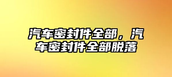 汽車密封件全部，汽車密封件全部脫落