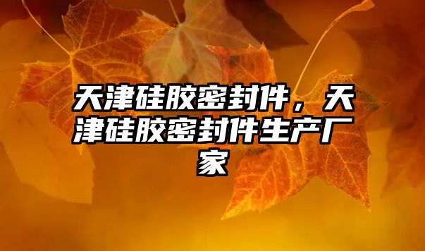 天津硅膠密封件，天津硅膠密封件生產廠家