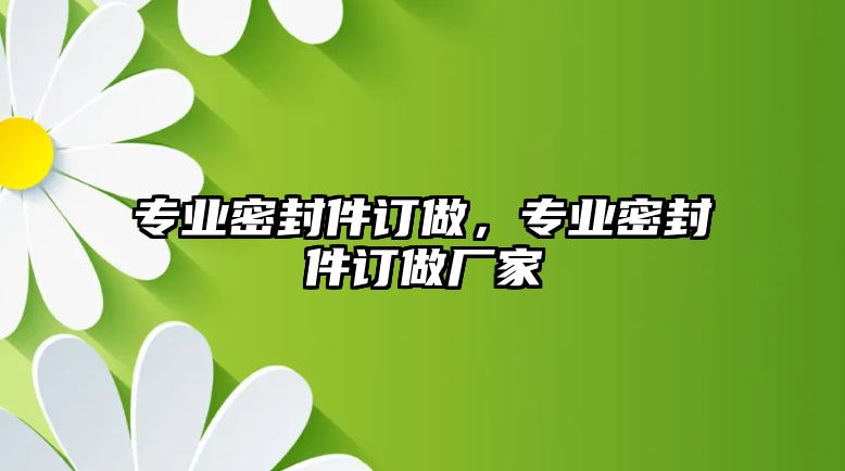 專業(yè)密封件訂做，專業(yè)密封件訂做廠家